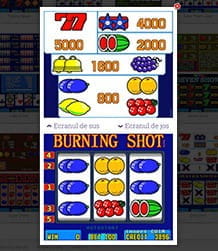 Aparat slot machines Burning Shot 