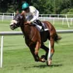 A jockey racing a horse.